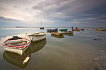 Norfolk Coast portfolio